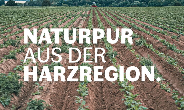 Teaserbild, Grafikdesign, Biomüse