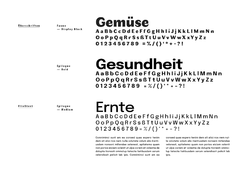 Biomüse Corporate Design, Typografie