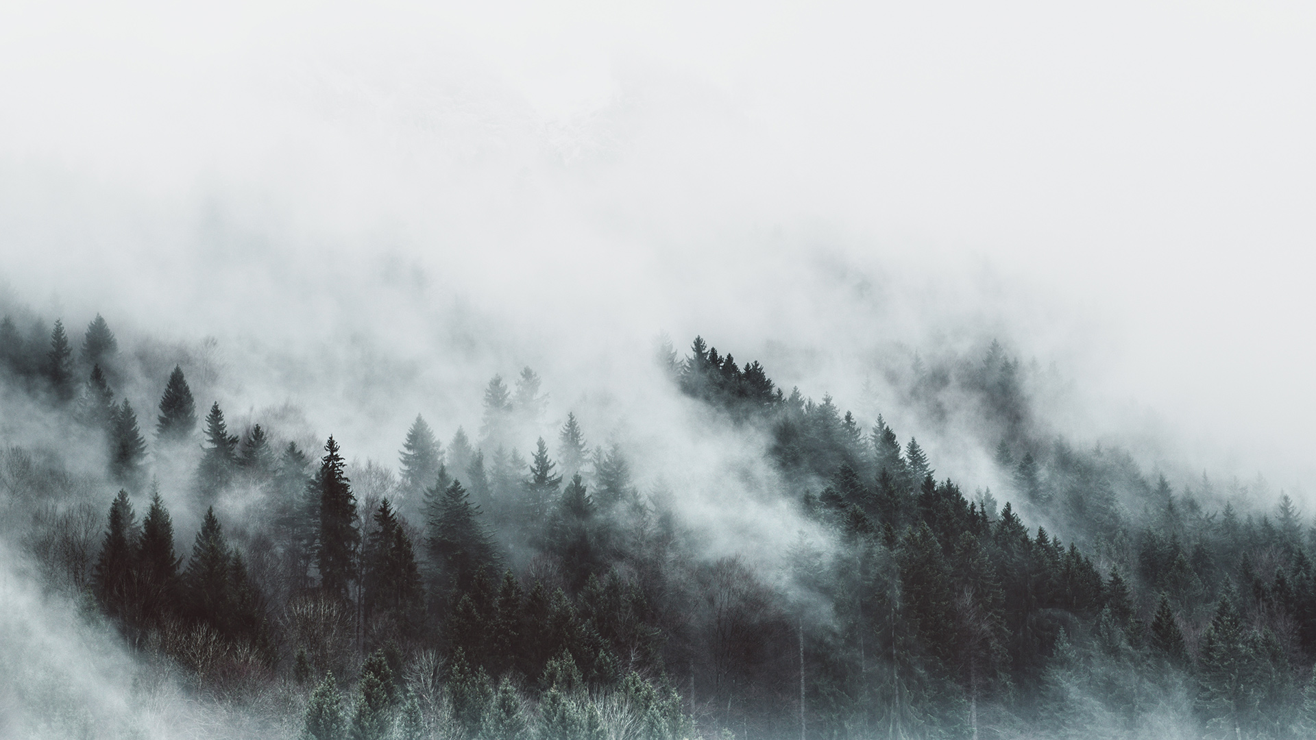 Harz, Thale, Naturfotografie, Landschaftsfotografie